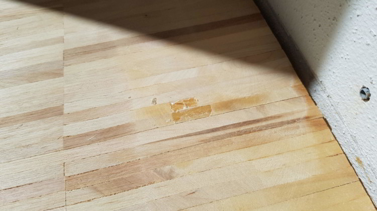 Reparatur Industrieparkett Ahorn Detail: Reparautrstelle mit Möbelwachs